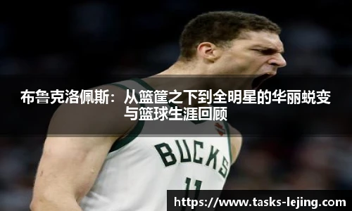 布鲁克洛佩斯：从篮筐之下到全明星的华丽蜕变与篮球生涯回顾